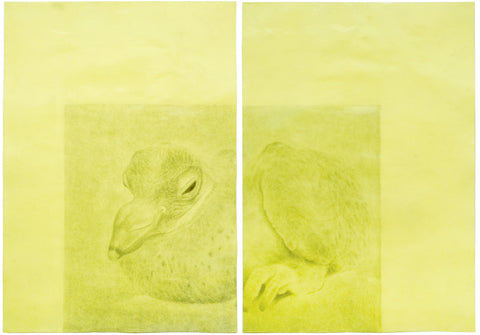 Chick