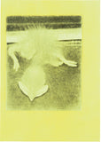 Chick