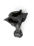 black black roses