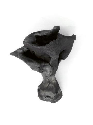 black black roses