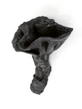 black black roses